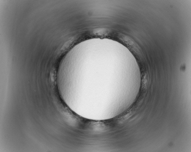 X0000089880424200707262213