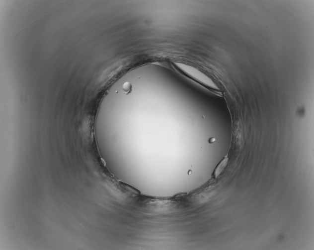 X0000089880428200707262213