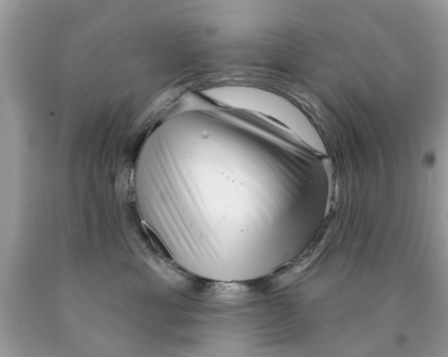 X0000089880429200707262213