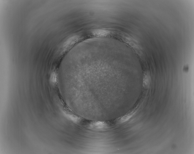 X0000089880431200707262213