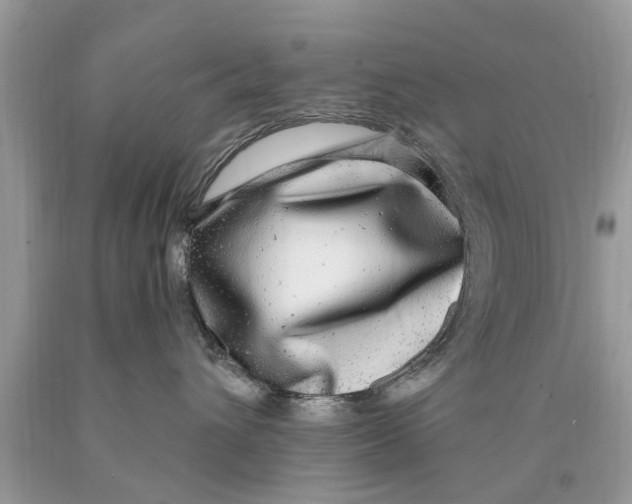 X0000089880432200707262213