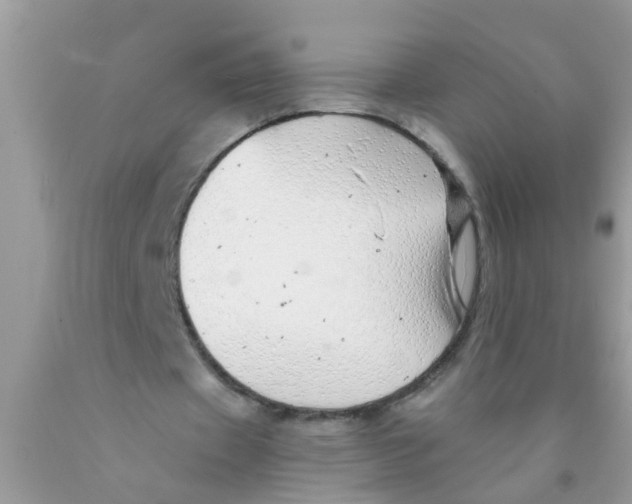 X0000089880433200707262213