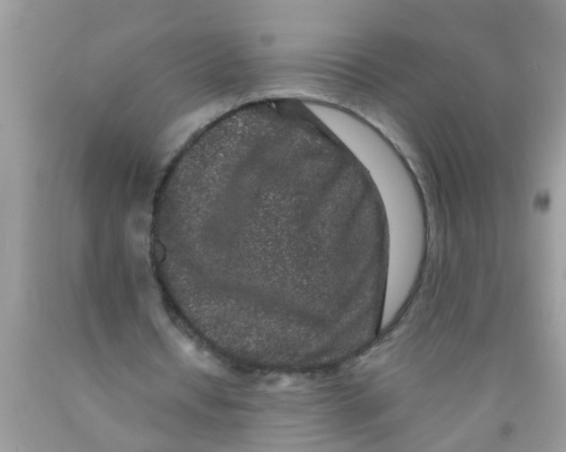 X0000089880434200707262213