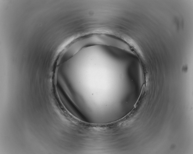 X0000089880436200707262213