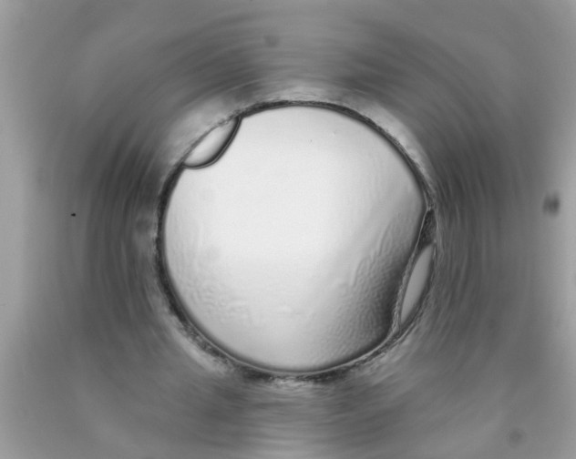 X0000089880437200707262213