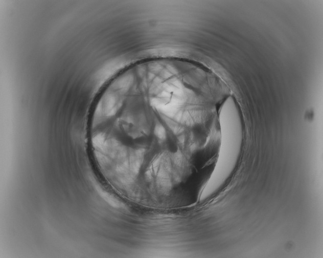 X0000089880438200707262213