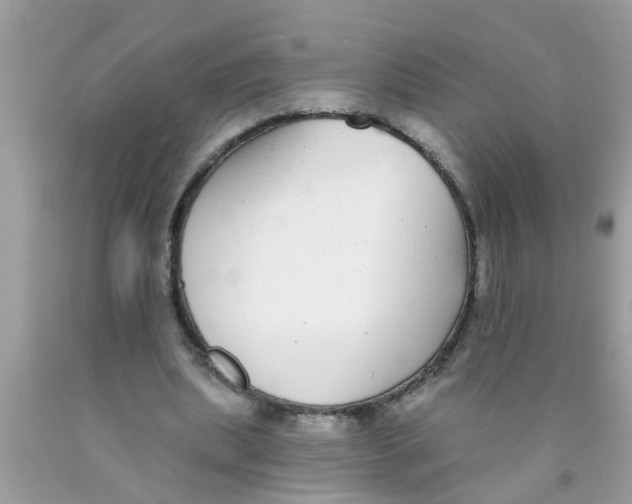 X0000089880439200707262213