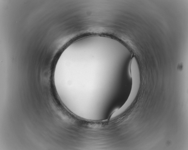 X0000089880440200707262213