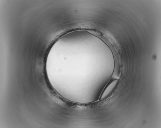 X0000089880442200707262213