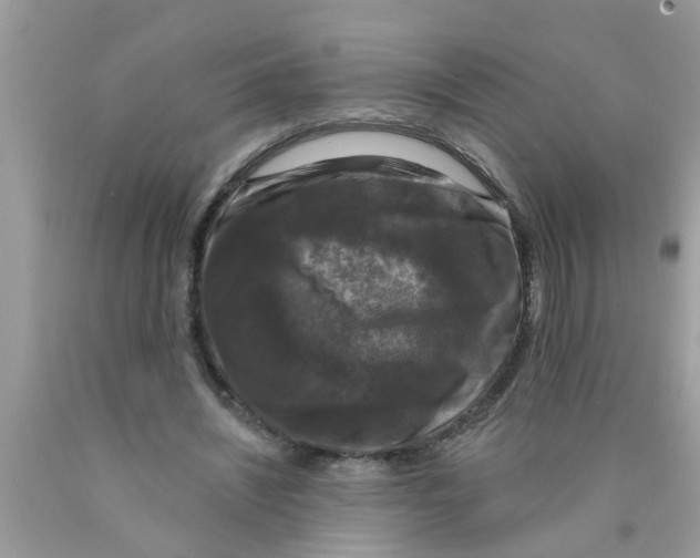 X0000089880444200707262213