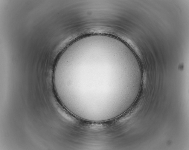 X0000089880445200707262213