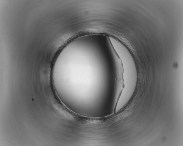 X0000089880446200707262213