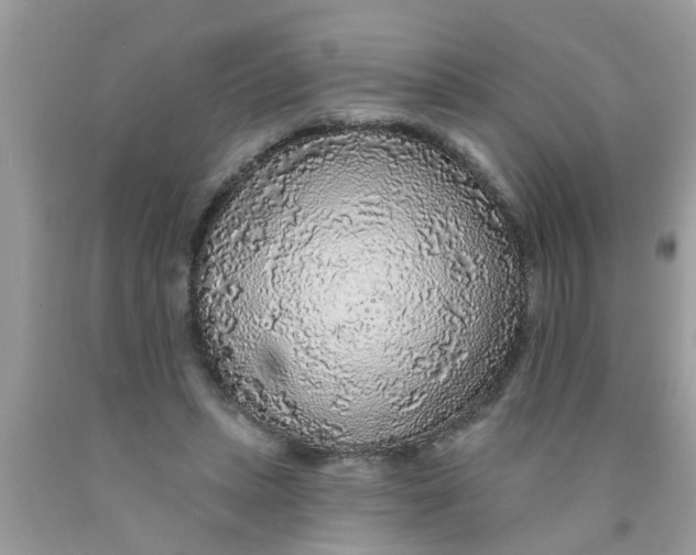 X0000089880447200707262213