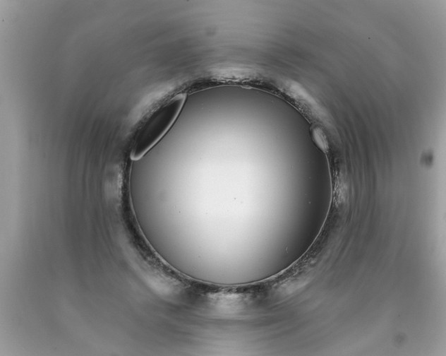 X0000089880448200707262213