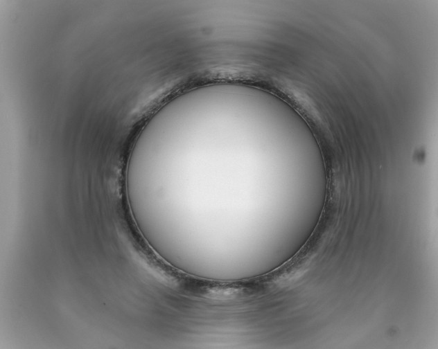 X0000089880450200707262213