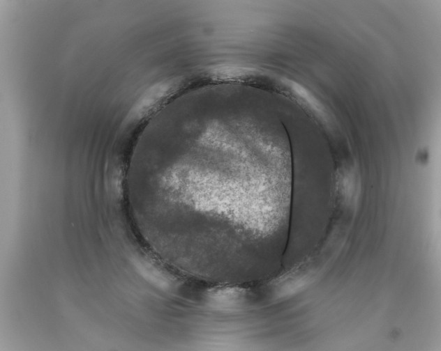 X0000089880452200707262213