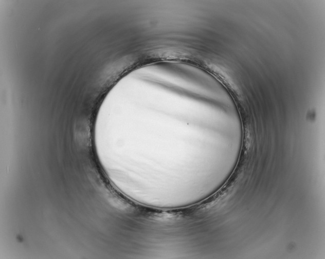 X0000089880453200707262213