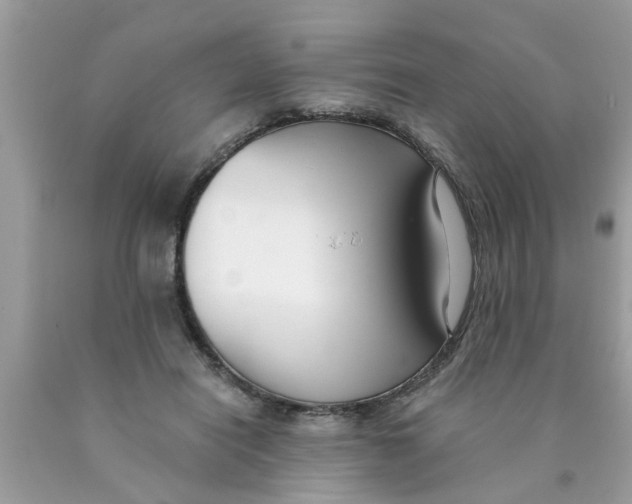 X0000089880454200707262213