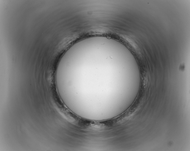 X0000089880455200707262213