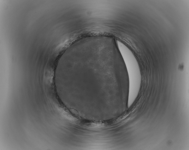 X0000089880458200707262213