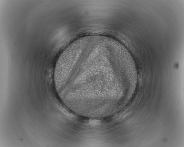 X0000089880462200707262213