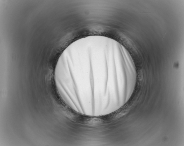 X0000089880463200707262213