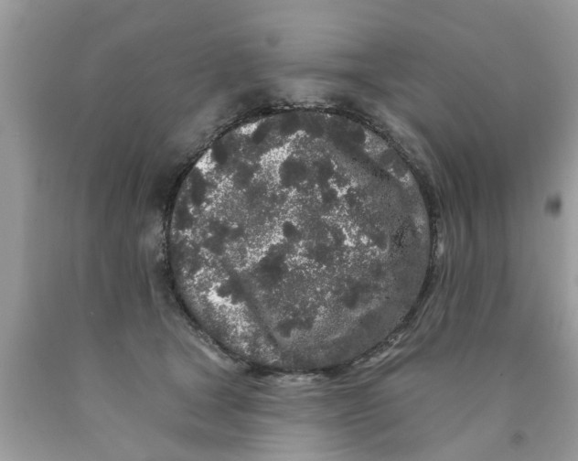 X0000089880465200707262213