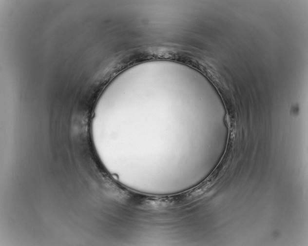 X0000089880466200707262213