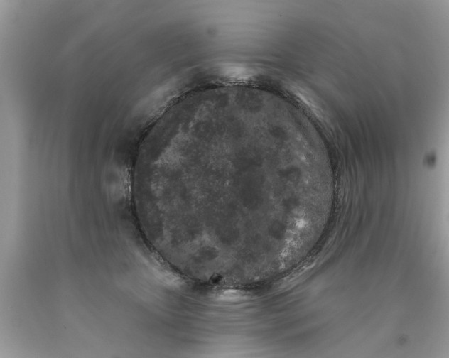 X0000089880467200707262213