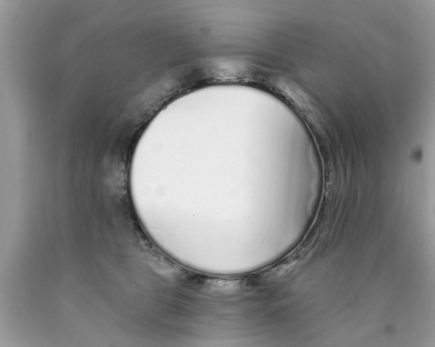 X0000089880469200707262213