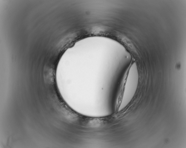 X0000089880470200707262213