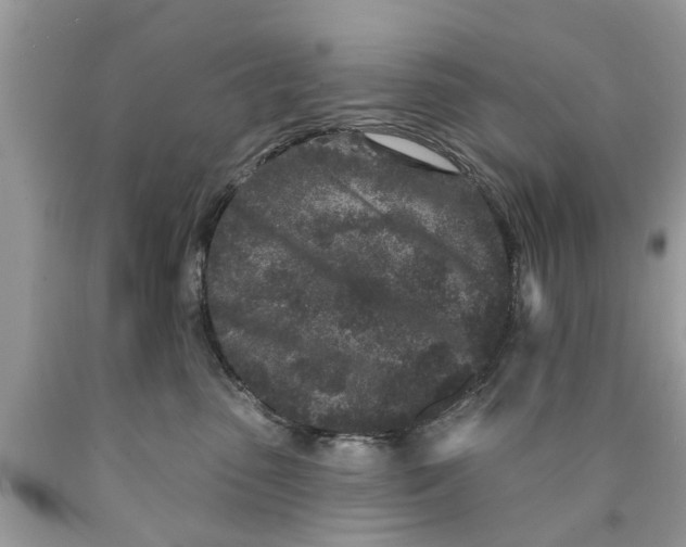 X0000089880475200707262213