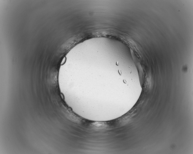 X0000089880477200707262213