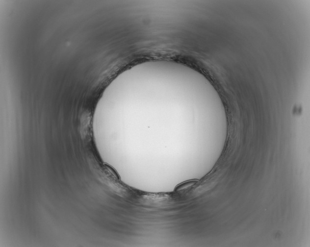 X0000089880480200707262213