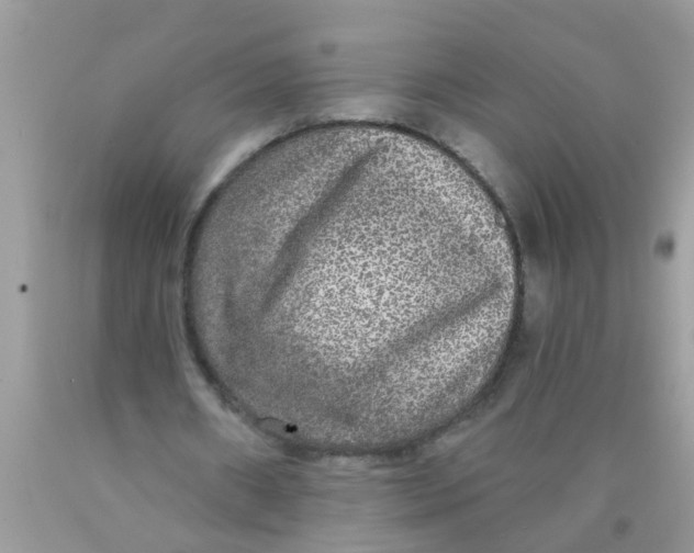 X0000089880482200707262213