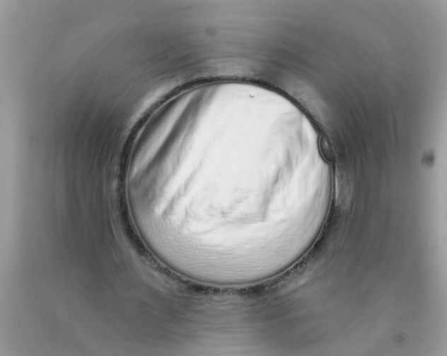 X0000089880483200707262213