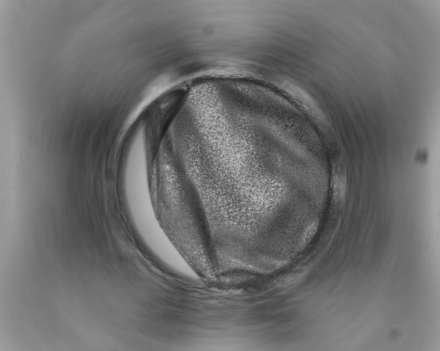 X0000089880484200707262213