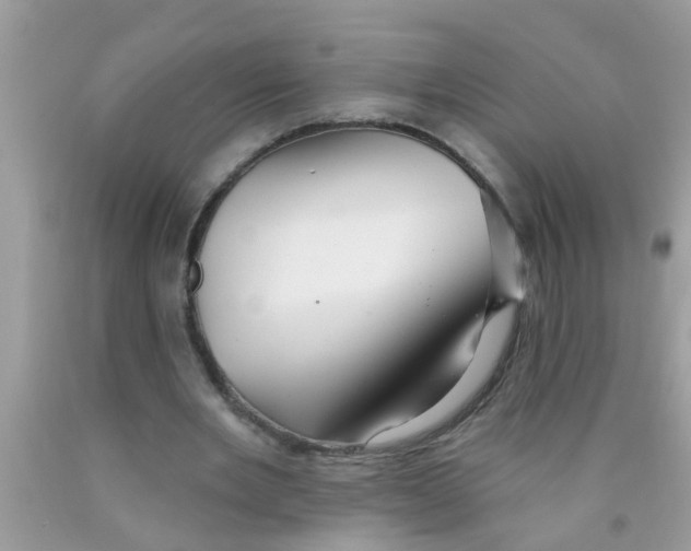 X0000089880485200707262213