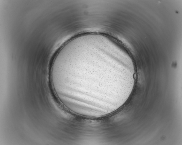 X0000089880486200707262213