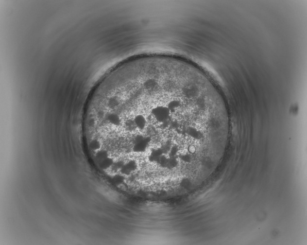 X0000089880487200707262212