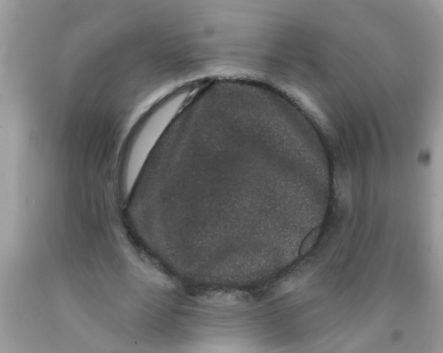 X0000089880488200707262212