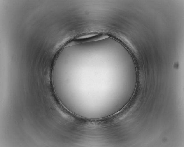 X0000089880489200707262212