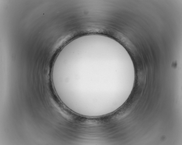 X0000089880490200707262212