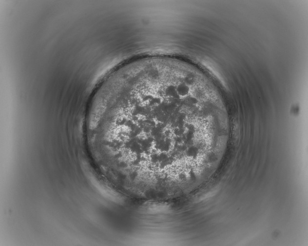 X0000089880491200707262212