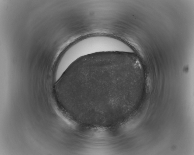 X0000089880492200707262212