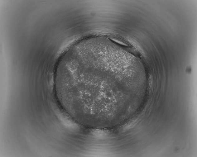 X0000089880494200707262212