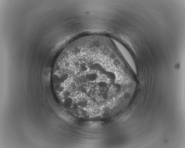 X0000089880495200707262212