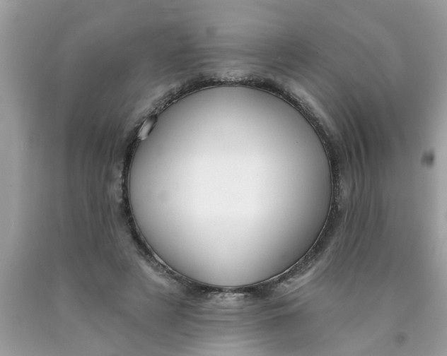 X0000089880497200707262212