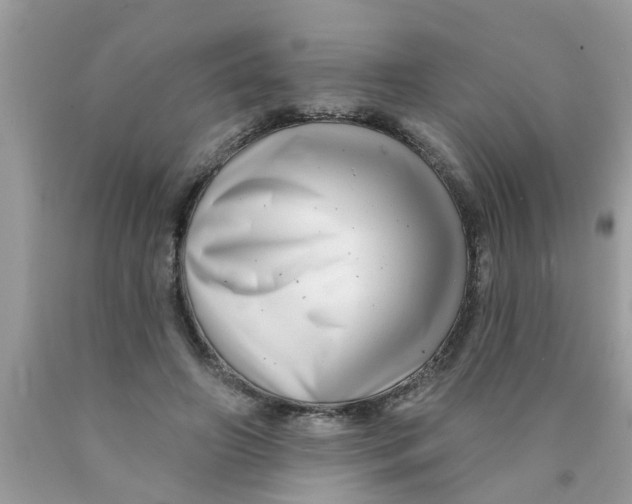 X0000089880498200707262212