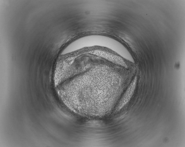 X0000089880499200707262212